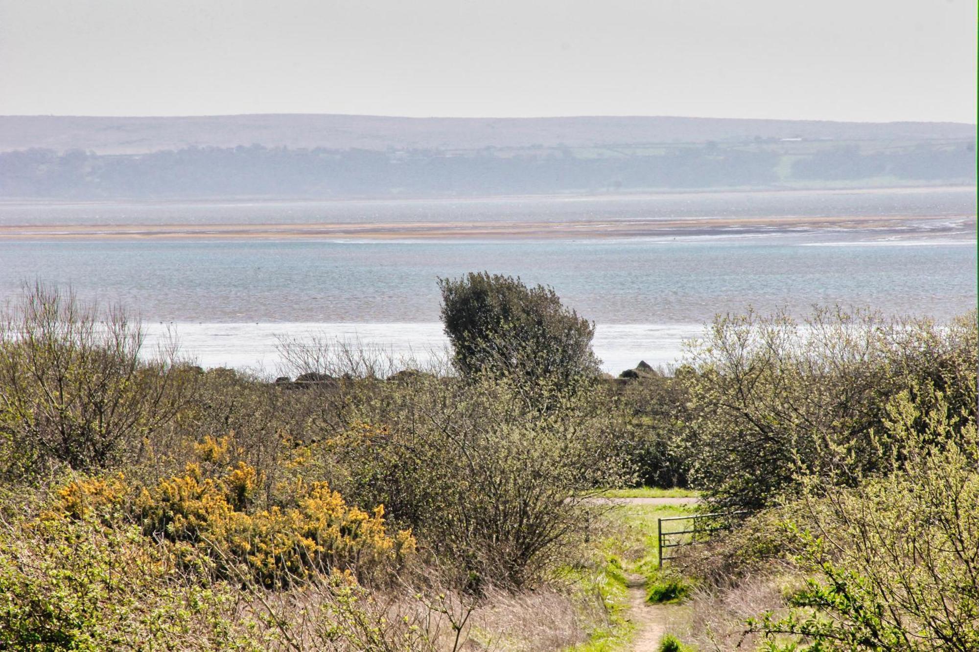 Blue Rose Cottage Burry Port Pokój zdjęcie